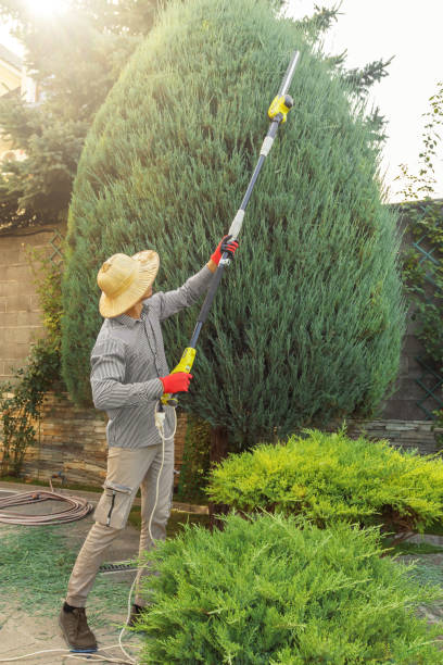 Best Leaf Removal Services  in Triana, AL